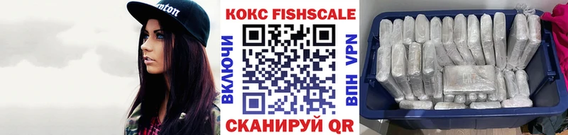 Купить закладки  Отрадная  COCAIN Fish Scale 